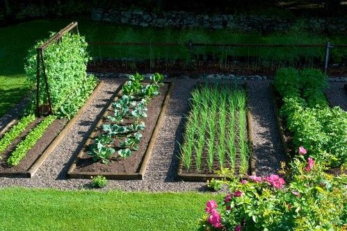 raised bed gardens.