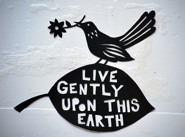 We are all visitors to this time, this place. We are just passing through. Our purpose here is to observe, to learn, to grow, to love… and then we return home. Aboriginal Proverb quote