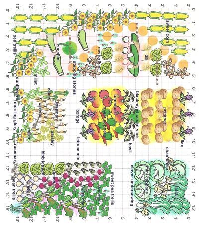 Example of companion planting, I’m inspired…hope it lasts til spring planting time!
