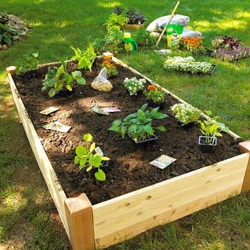 How to make raised beds for vegetable gardens