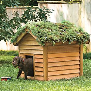 Instructions on how to build a living roof… and I think reusing old wooden pallets (ala the vertical garden trick) might work nicely here!
