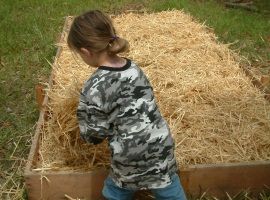 Making a Raised Garden Bed