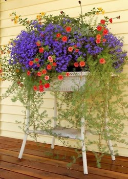 So pretty….an old children’s wash stand repurposed into a planter
