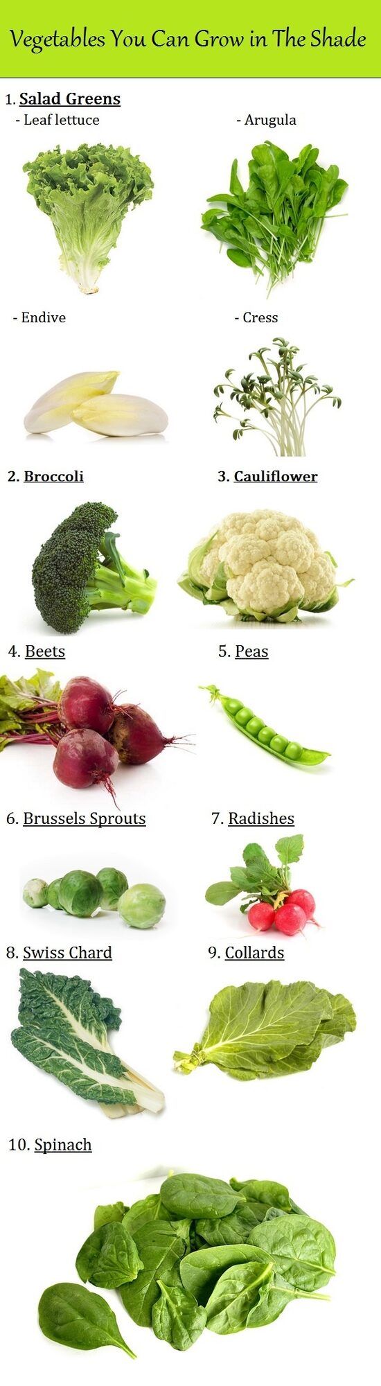 Shade Vegetables