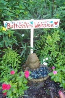 I love to decorate my garden with signs. My butterfly garden has a sign which says “Butterflies Welcome”. It adds color and provides a focal point…