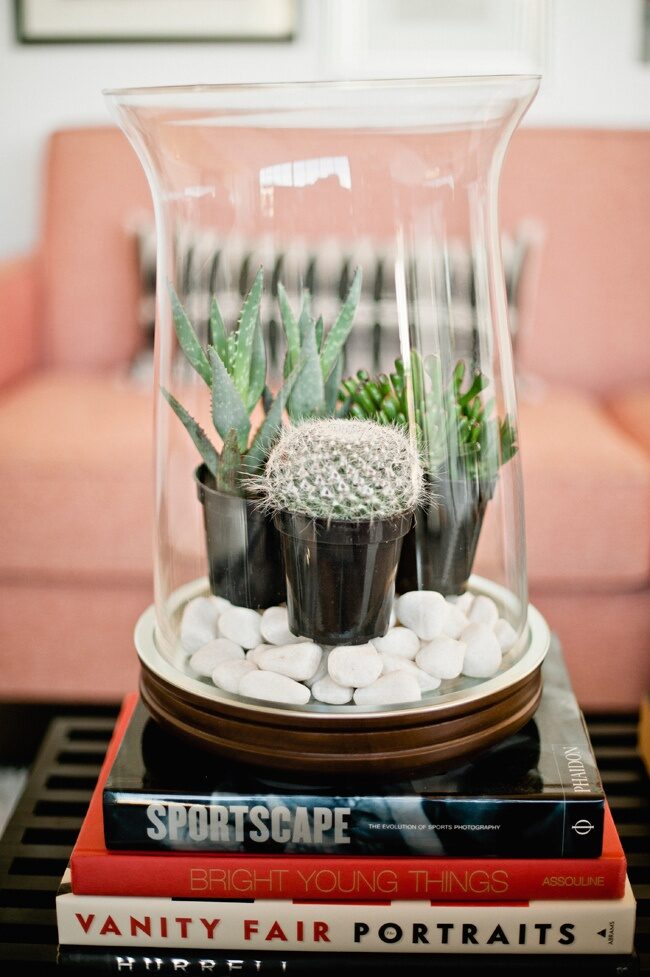15-fabulous-indoor-garden-ideas  LOVE THIS WALMART HAS SOME BEAUTIFUL FLOWERS FOR THIS I HAVE THE PERFECT GLASS