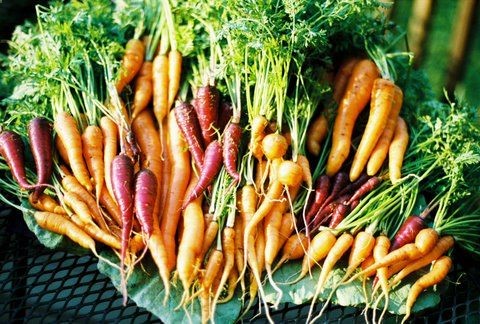 . We have found that there actually are some optimal sizes for growing various types of vegetables. At Landreth, we use five different pots…