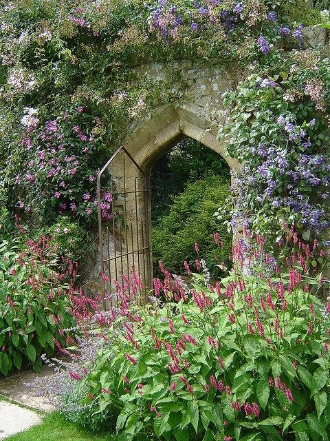 If you look the right way, you can see that the whole world is a garden.  Frances Hodgson Burnett, The Secret Garden