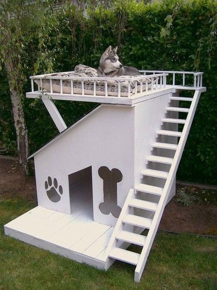 dog house with loft.