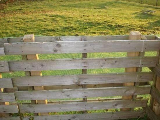 Pallets slipped over fence posts for a quick and cheap fence