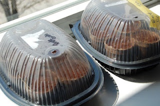 Repurposed rotisserie chicken containers = windowsill greenhouses