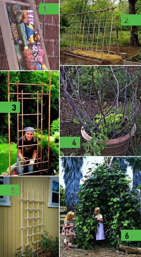 6 DIY Garden Trellis Idea- are you getting ready to grow your own spring beans? So local, so Cool