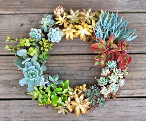 Succulent Wreath # Pin   for Pinterest #