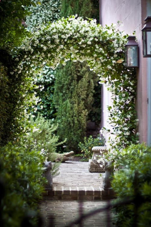 Charleston garden with star jasmine arch
