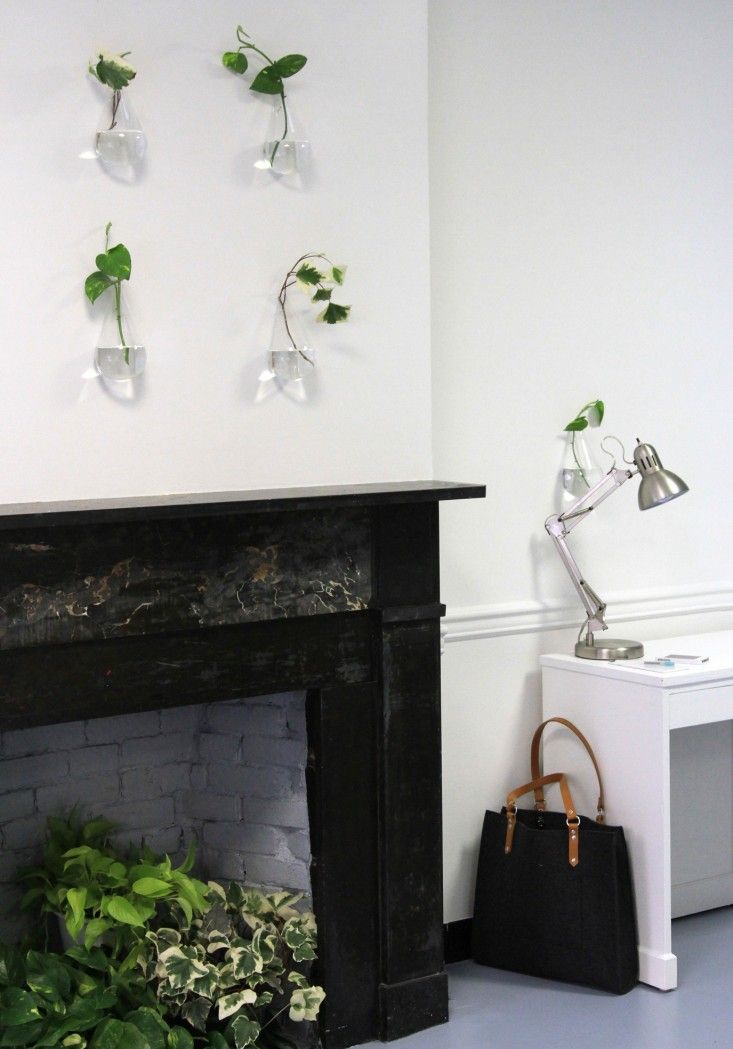 make your own living wall: lazy person’s edition | gardenista