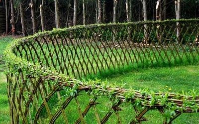 Get willow branches from landscape nursery in bundles of 100 sticks. Put branches in ground at least 6 inches, and 4 to 8 inches apart (one pointing left, the next pointing right). Then weave them together. Using hemp twine, tie them together at the top.