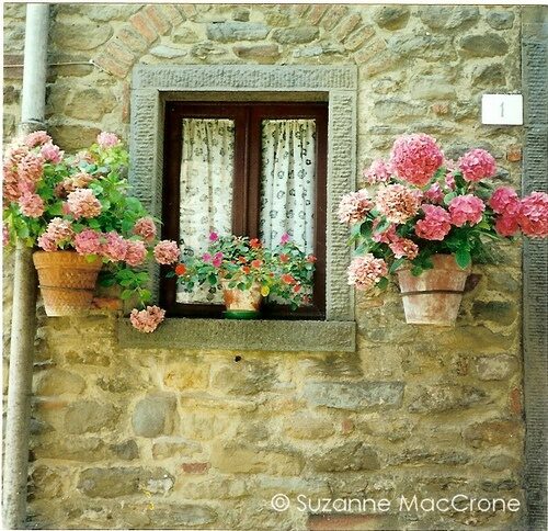 Cottage Window ~ Cortona, Italy ~ Original Colour Photograph by Suzanne MacCrone
