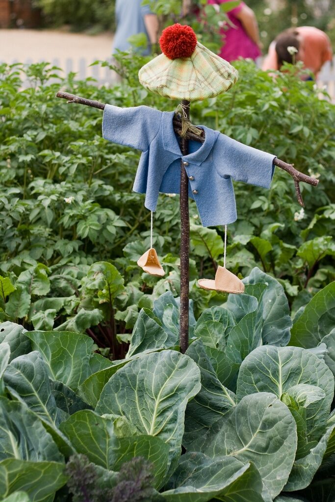 awww …”Mr. McGregor’s Garden”.  charming!