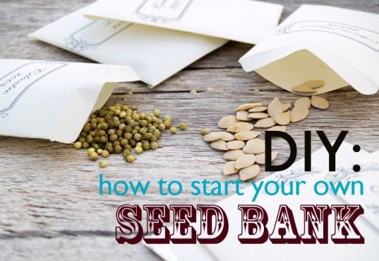As food prices continue to rise and the very real issue of GMO contamination becomes more apparent, many people are realizing how important it is to be self-sufficient. Start your own seed bank with friends and neighbors! Here are some tips to get you started!