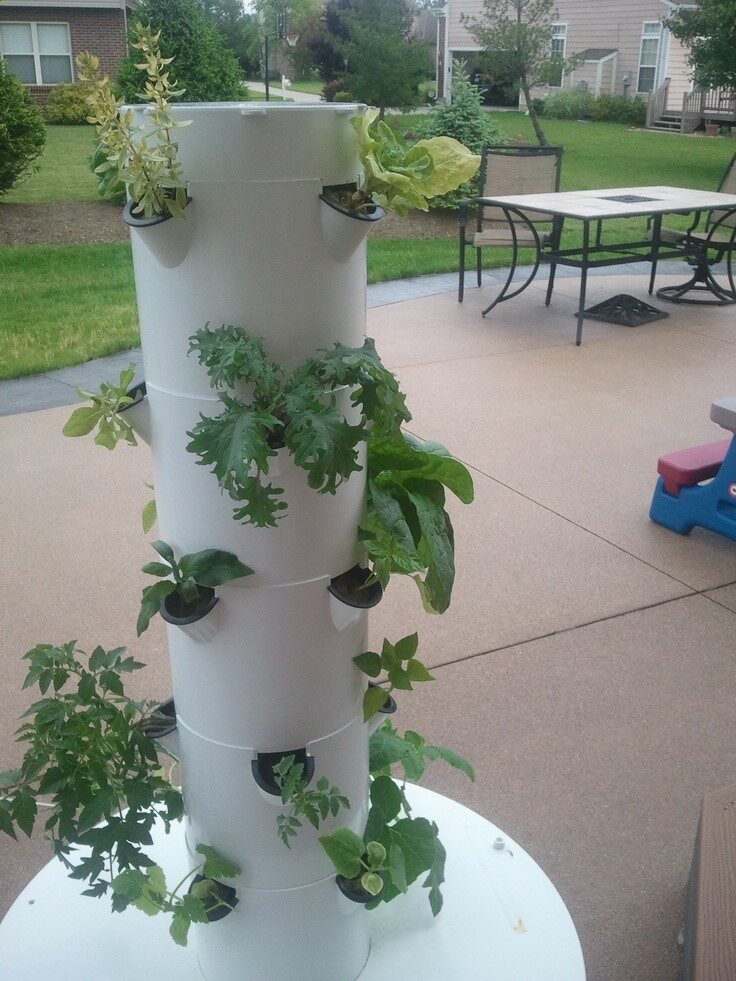 Grow food in your backyard with the Tower Garden!!