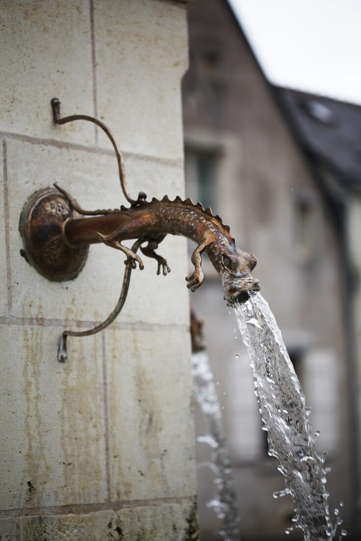 Love this dragon spout