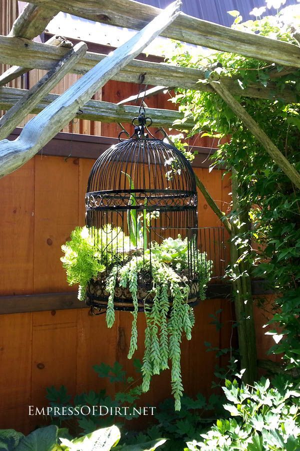 bird cage planter