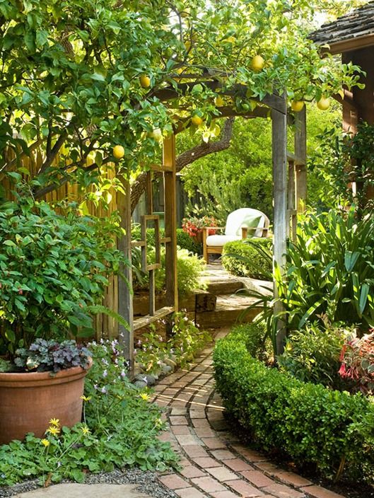 Garden path
