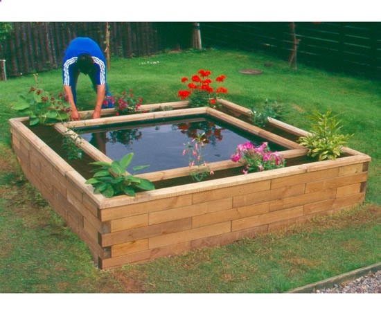 pond   raised bed = awesome