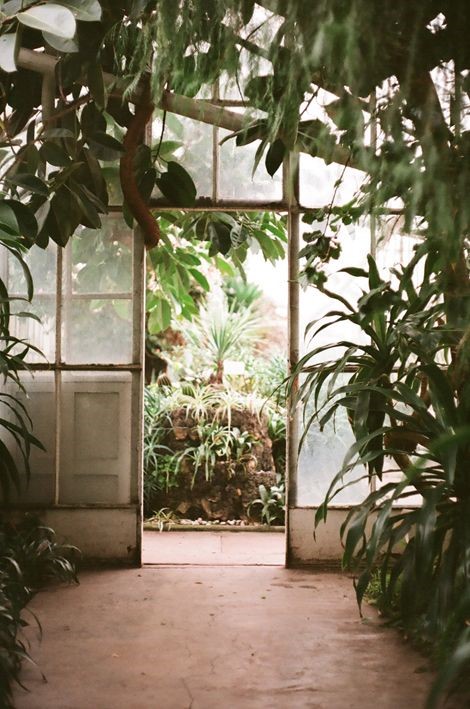 greenhouse