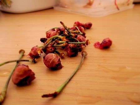 How To Grow Cherry Trees From Seed…