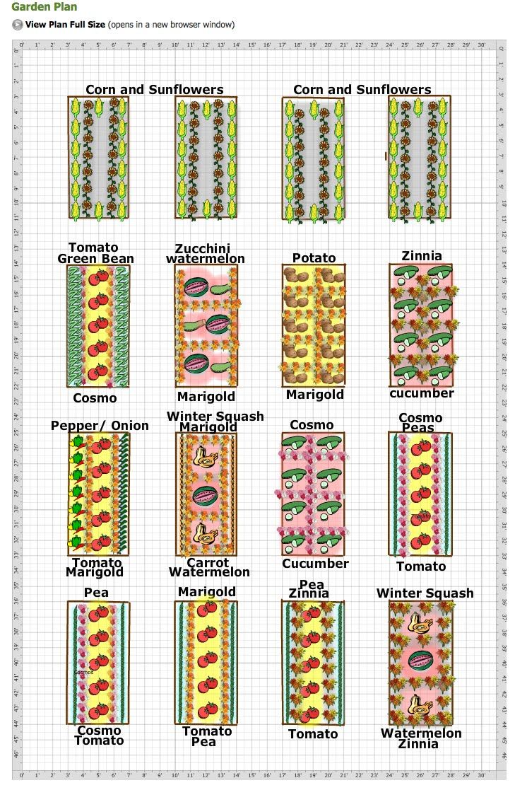 Great Looking Vegetable and Cut Flower Garden Plan – And planting some flowers with veggies ( marigolds and tomatoes) might cut down on pests!