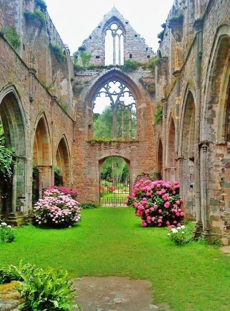 Beautiful Garden and The Castle
