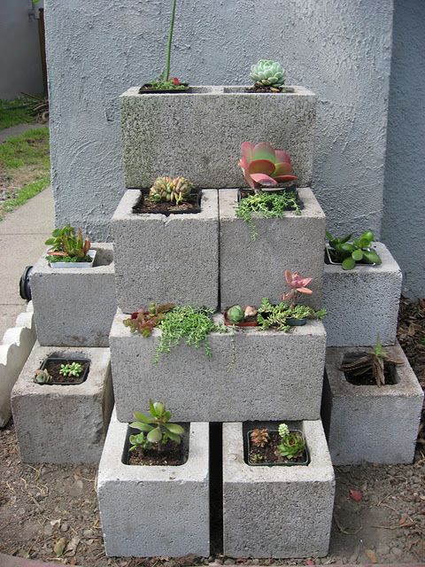 Ideas for using concrete blocks around the garden!