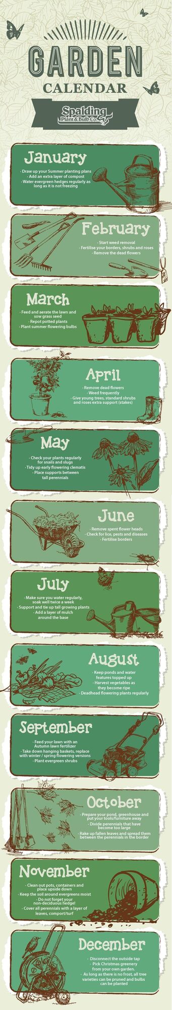 Spalding Gardening Calendar – Month by Month! //
