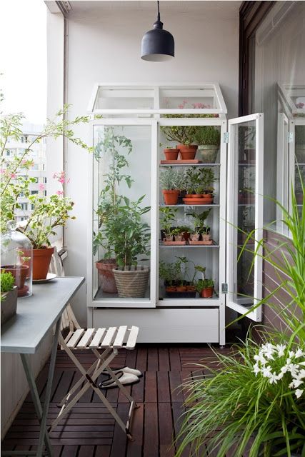 smart and simple balcony garden with cabinet turned greenhouse