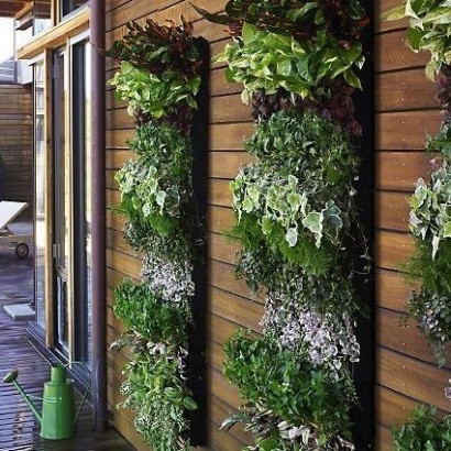 Vertical herb garden – with yards getting smaller the only way is up!