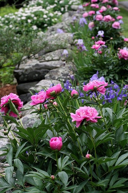 // Great Gardens  Ideas //