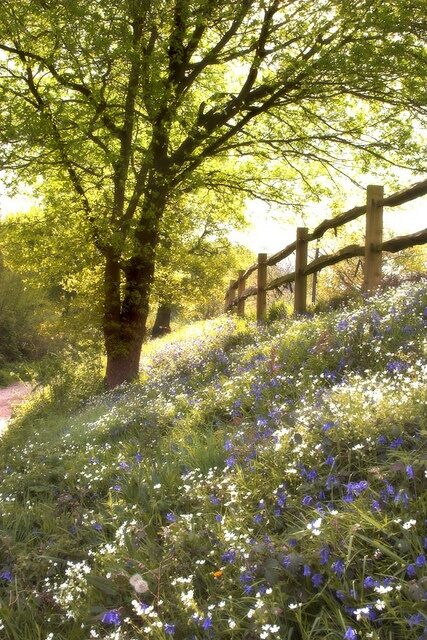 spring on the hillside