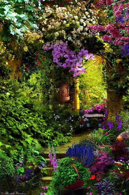 Provence garden…would love my secret garden to have this riot of color and flowers..