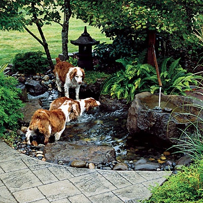 I would like something like this in my backyard for my water-loving dog. Small and shallow and secluded and relaxing. To dip my toes in, too.