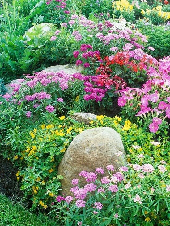 6 Steps to a No-Work Cottage Garden !