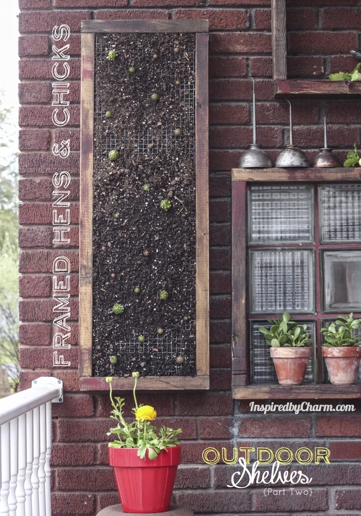 DIY Tutorial for creating an easy vertical garden of hen and chicks (succulents) via Inspired by Charm!