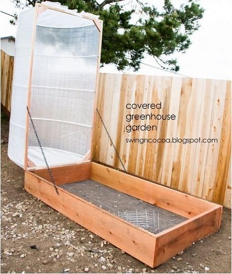light diy green house
