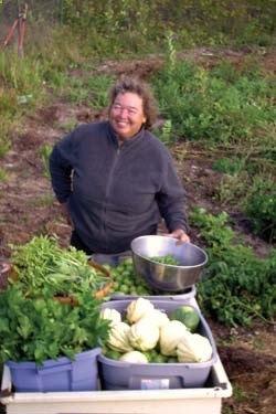 Beginners Guide To Vegetable Gardening – this is an excellent post!