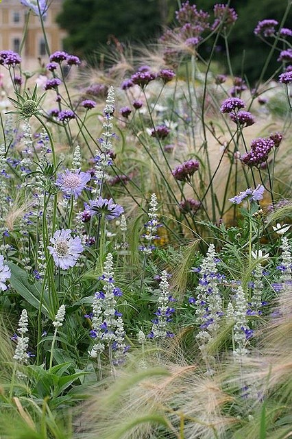 a herbatous border near the palm house in Kew