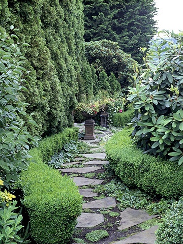 Flagstone walk, and the wonderful wall like effect of the evergreens and tall shrubs on the other side.  ED