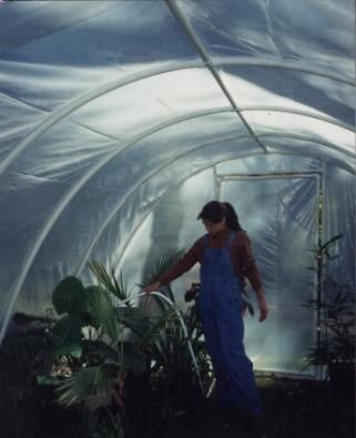 FREE Plans for an arched PVC pipe GREENHOUSE.