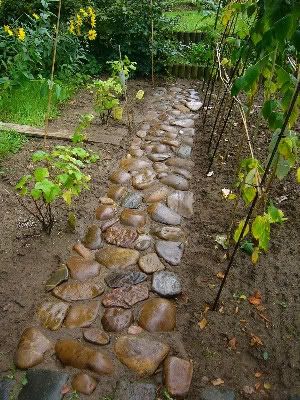 Work a bag of dry concrete mix into the soil where stone is to sit, lay stone, water it all in so it sets just like Jello only harder!