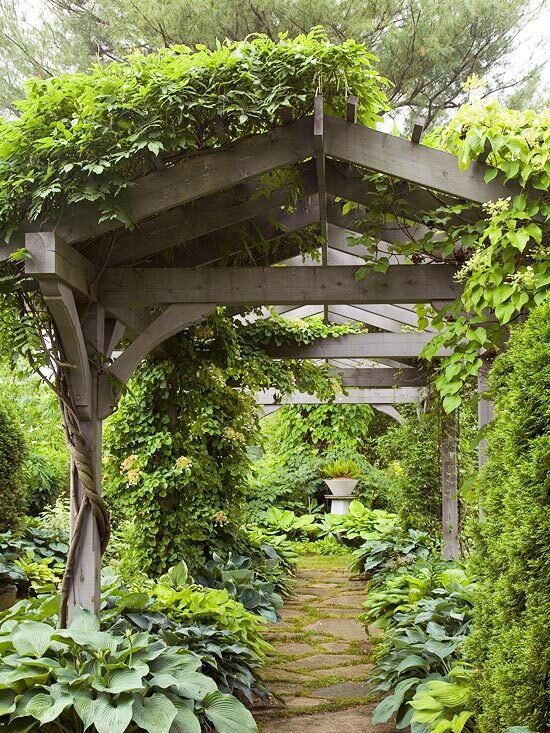 Fabulous pergola