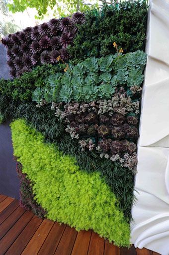vertical garden, I love the bright green!! I think I could do a vertical garden with that plant only!
